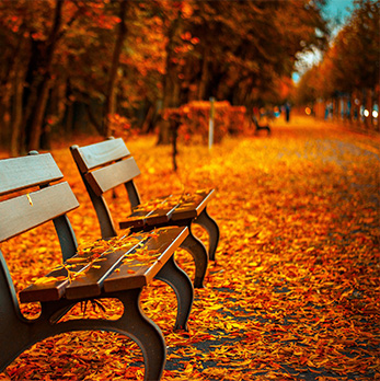 免费DDOS攻击测试工具