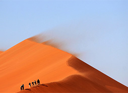 云办公平台的ddos流量攻击购买