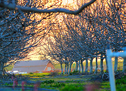 ip攻击器网页版ddos